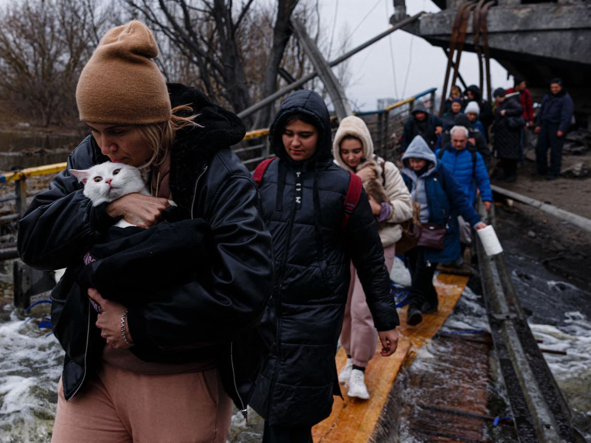 Ukrainian refugees: UK set to waive red tape for pets