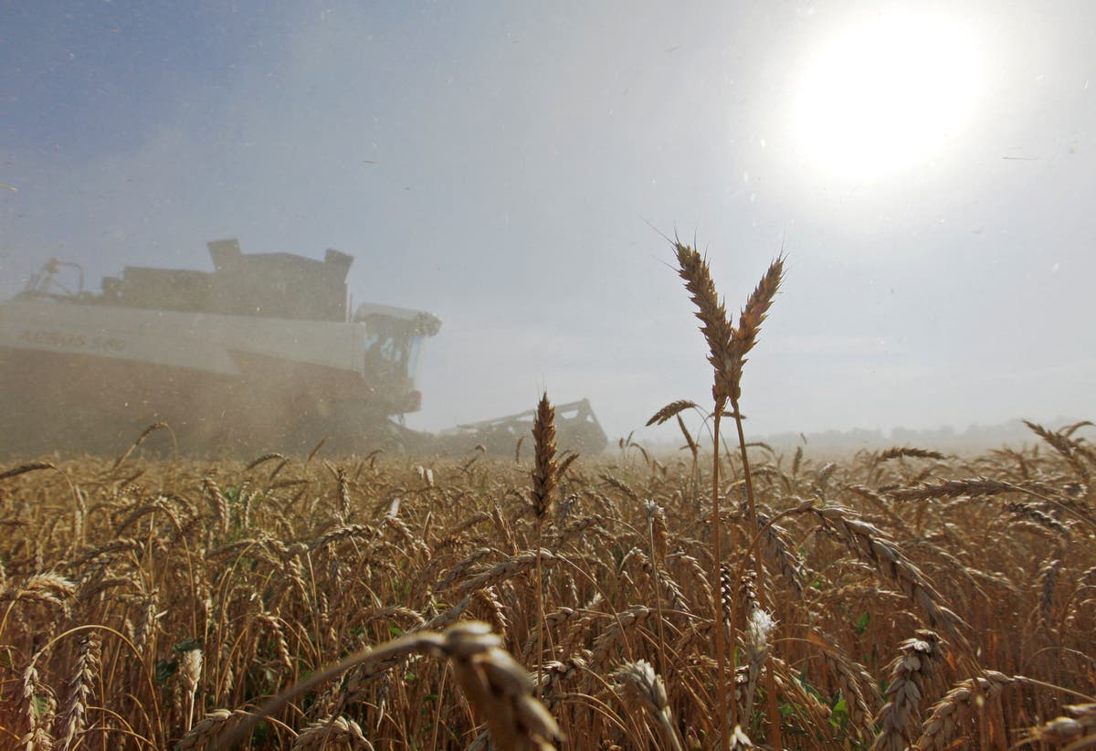 Agricultural giant Bayer AG pulls out of Russia: ‘Crops depend on peace’