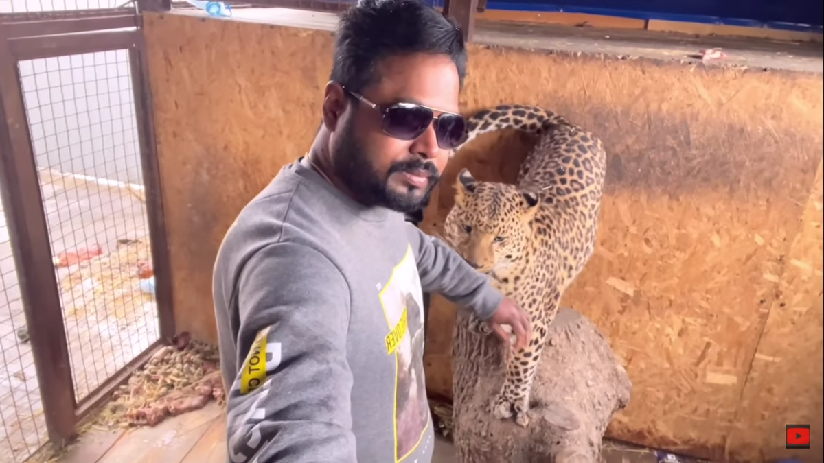Girikumar Patil: Indian doctor stranded in Ukraine with a jaguar and panther
