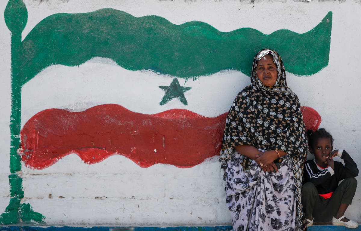 Somaliland’s leader makes pitch for autonomy in Washington