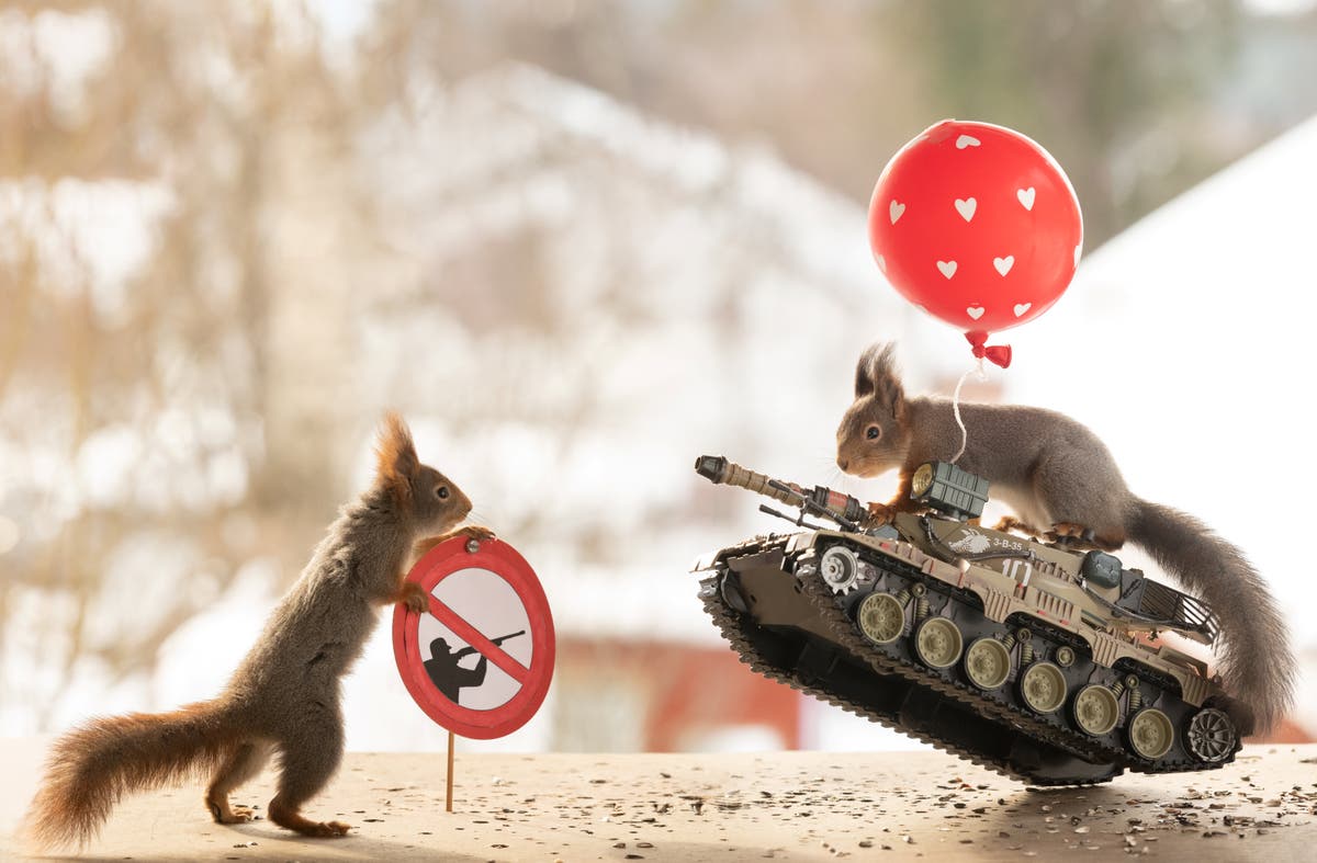 Wildlife photographer aims to spread a message of peace with anti-war squirrel pictures