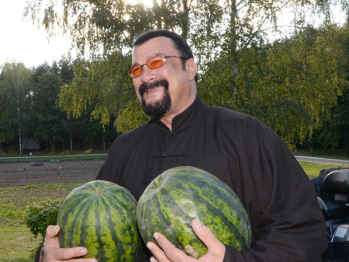 Steven Seagal’s pro-Putin gushing couldn’t be easier to ignore – so why don’t we?