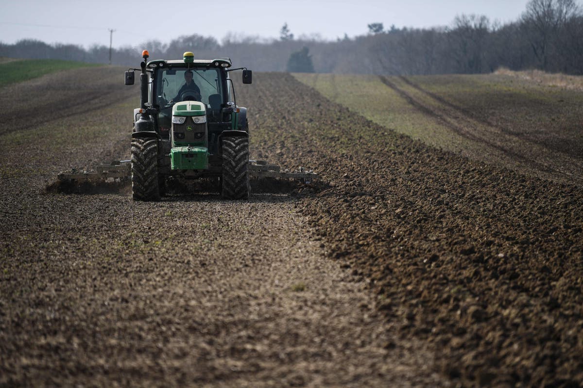 UK is ‘sleepwalking’ towards food shortages, farmers warn