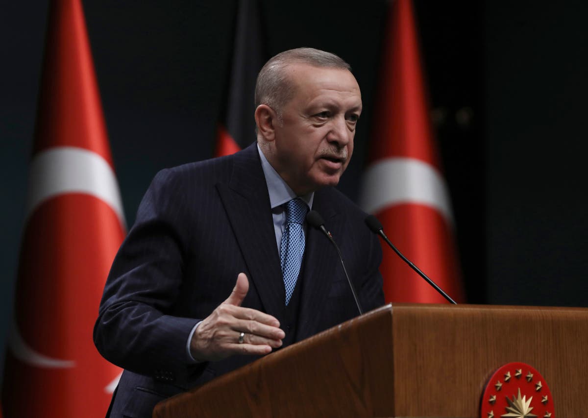 Erdogan discusses Turkey’s Syria incursion plans with Putin