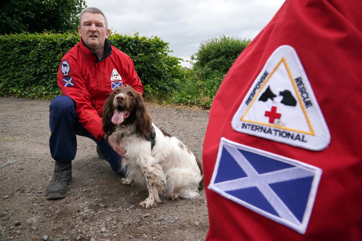 Dog search team steps up training ahead of Ukraine deployment to find bodies