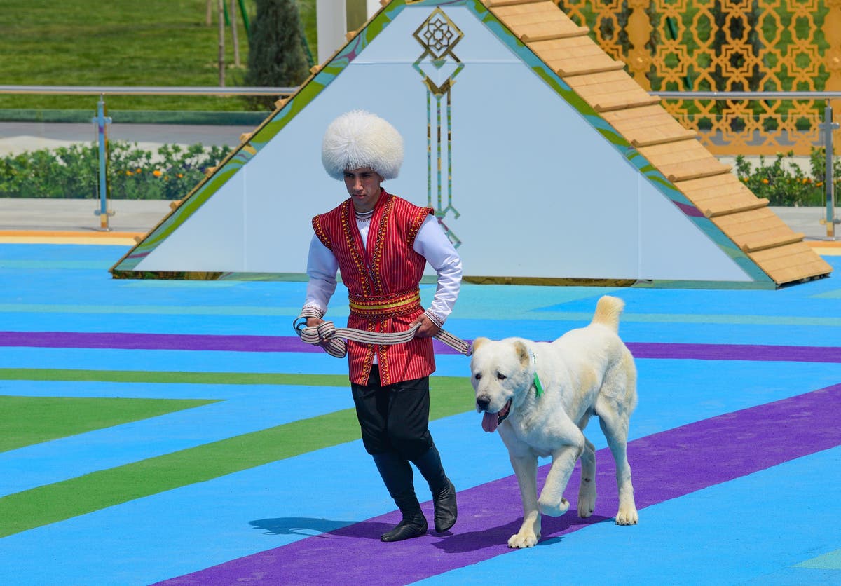 Turkmenistan restricts export of its local Alabay dog breed