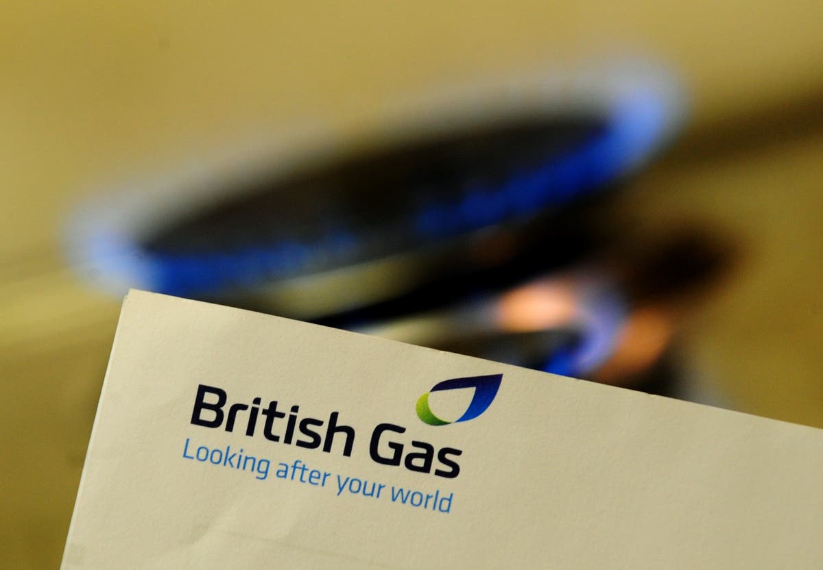 British Gas will donate 10% of profits to help cut energy bills