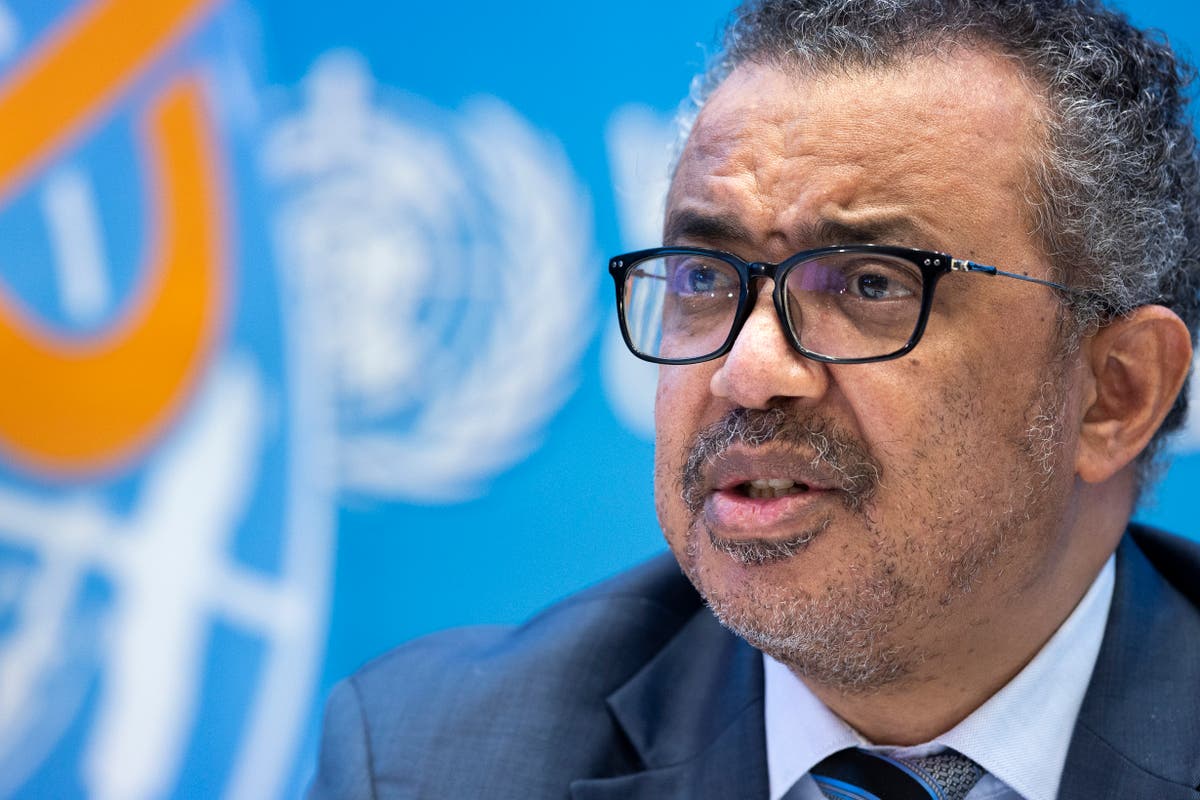 WHO chief laments fate of ‘starving’ relatives in Tigray