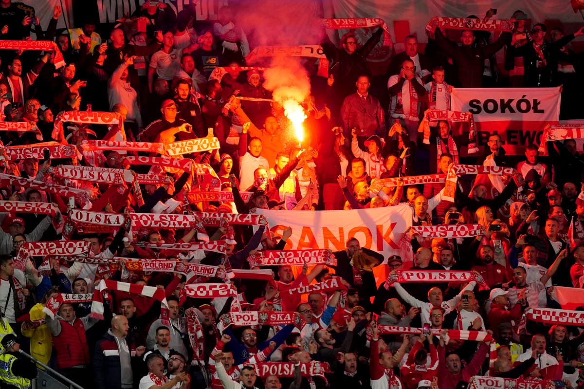 Seven Poland fans arrested following incidents at Wales match