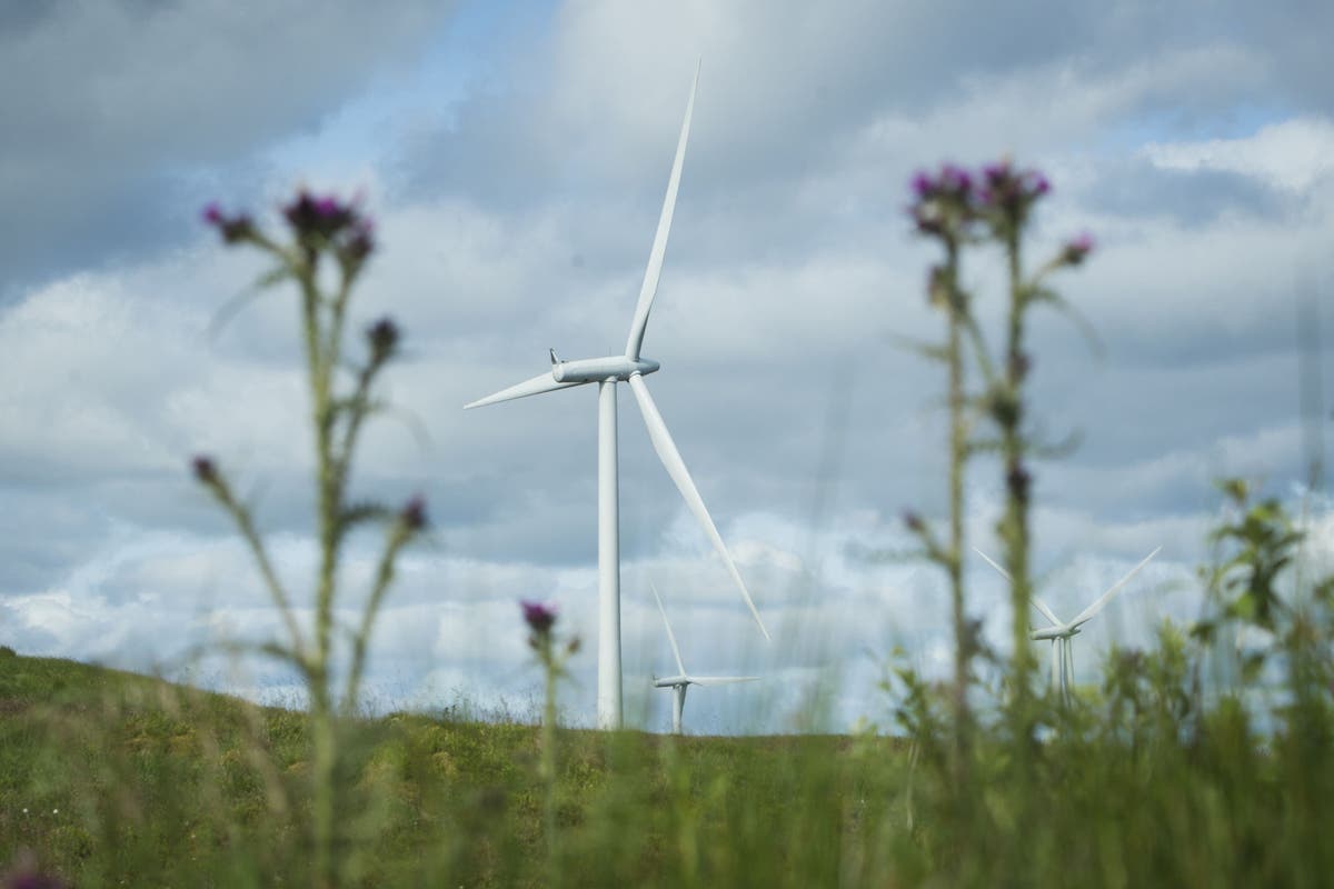 Shapps hints at onshore wind ban U-turn as Tory rebellion grows