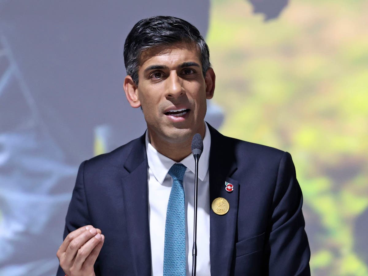 Cop27 – live: Rising energy prices ‘a reason to act faster’ on climate change, says Rishi Sunak as he’s rushed off stage