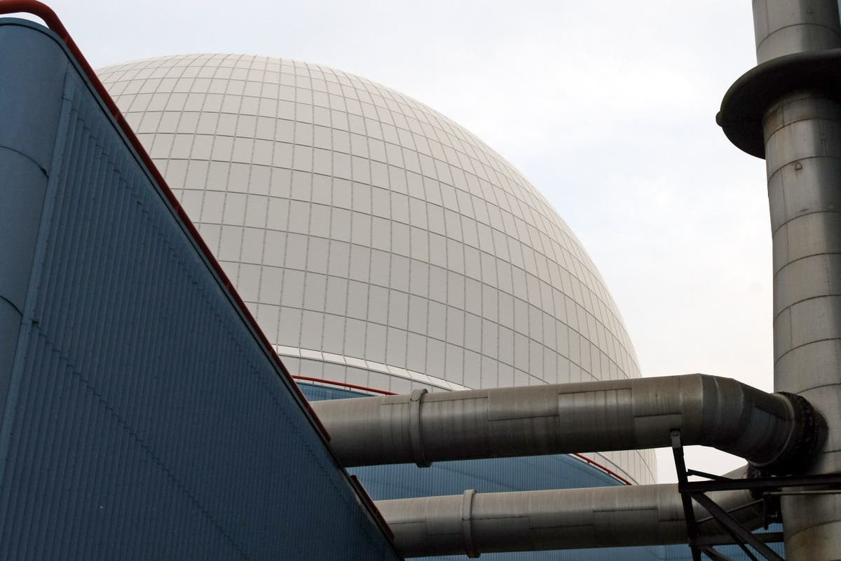 Sizewell C nuclear plant go-ahead confirmed with £700m public stake