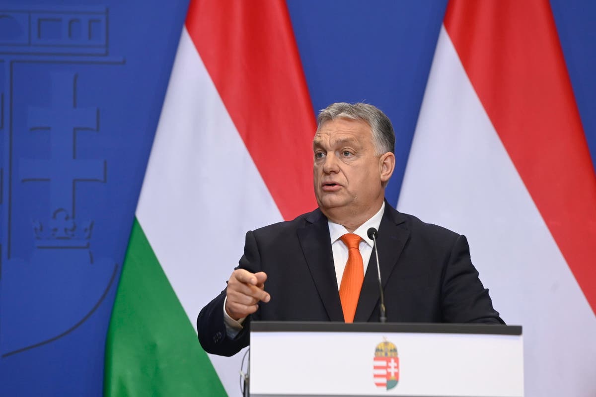 Hungary’s Orban wants to ‘drain the swamp’ in European Union