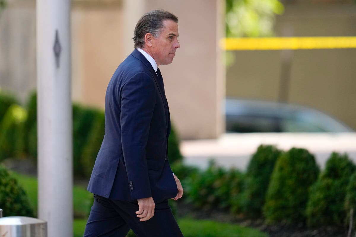 Hunter Biden pleads not guilty to two tax charges after court chaos nearly derailed deal with prosecutors