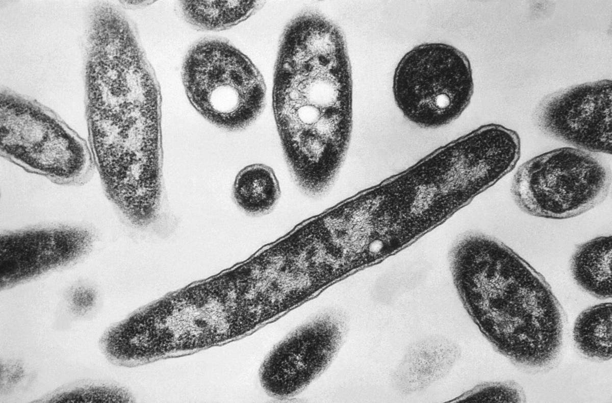 Legionnaires’ disease outbreak in southeast Poland on decline with only 1 new case reported