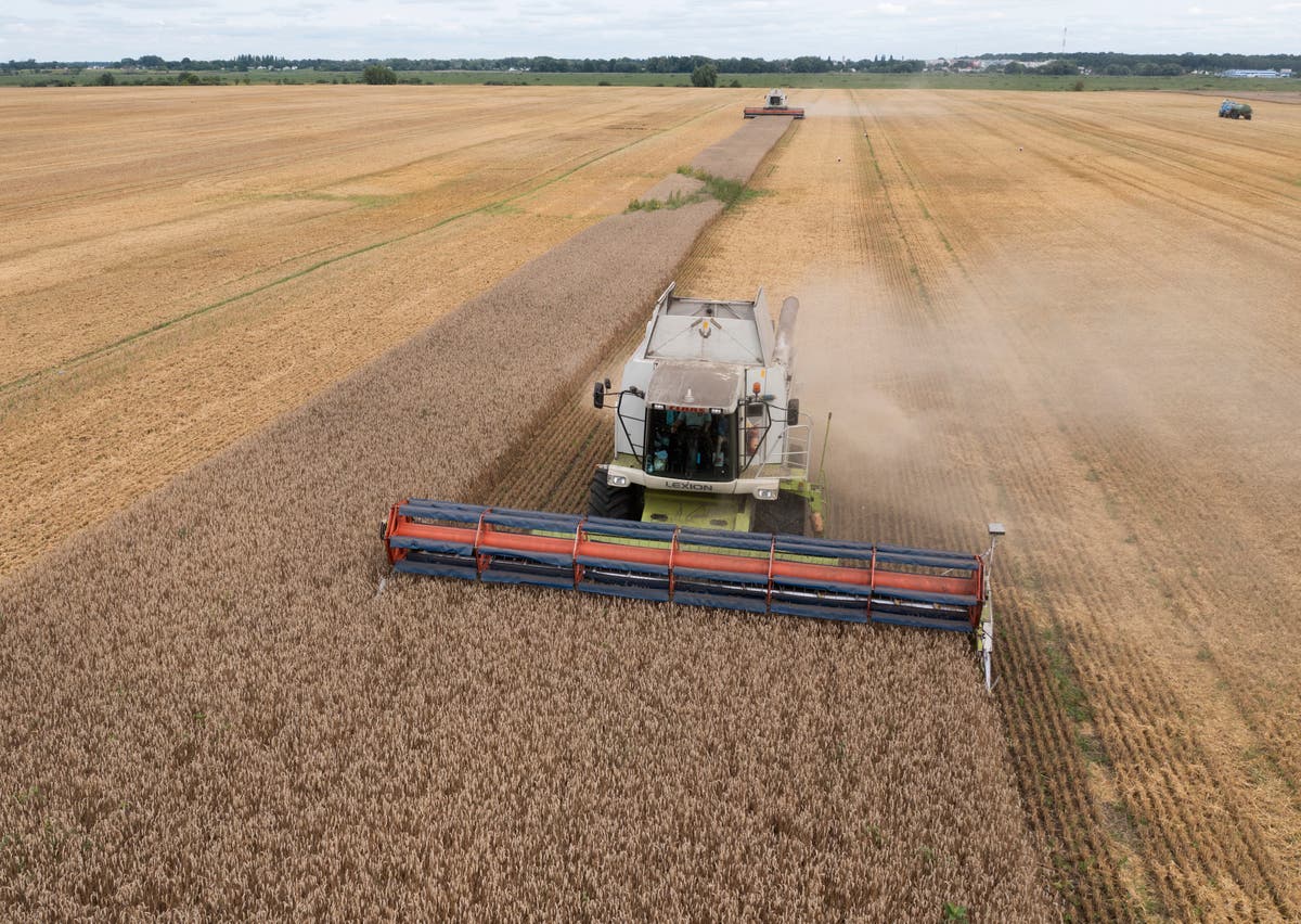 Poland says it won’t lift its embargo on Ukraine grain because it would hurt its farmers
