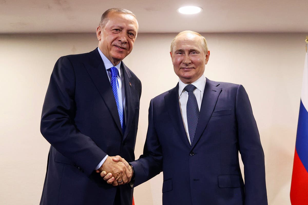What’s at stake when Turkey’s leader meets Putin in a bid to reestablish the Black Sea grain deal